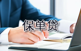 兴安盟保单贷