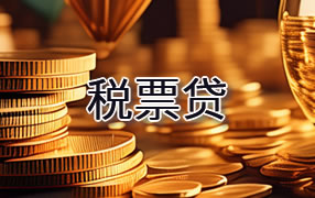 兴安盟税票贷